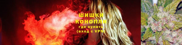 ПСИЛОЦИБИНОВЫЕ ГРИБЫ Краснотурьинск