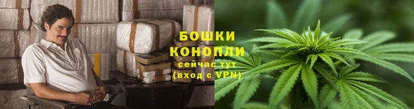 2c-b Краснослободск