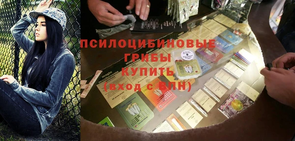 СК Кулебаки