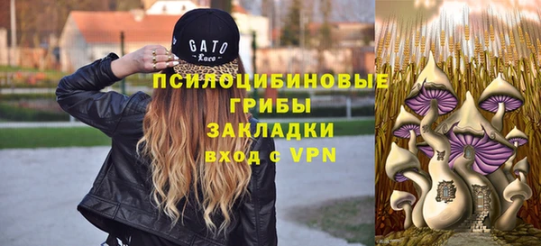 прущие грибы Куйбышев