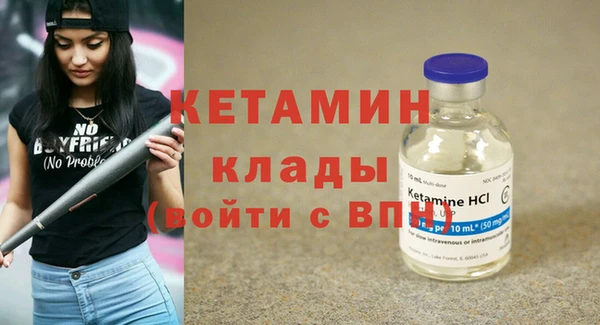 прущие грибы Куйбышев