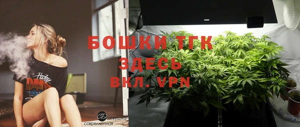 прущие грибы Куйбышев