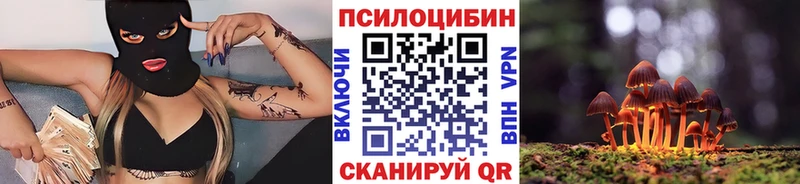 наркотики  это как зайти  Псилоцибиновые грибы мицелий  Михайловка 