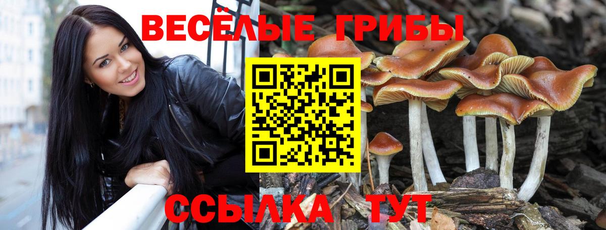 Галлюциногенные грибы Psilocybine cubensis  Галлюциногенные грибы Cubensis  Вход с VPN  Михайловка 
